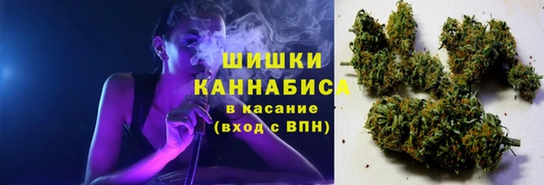 PSILOCYBIN Богородицк